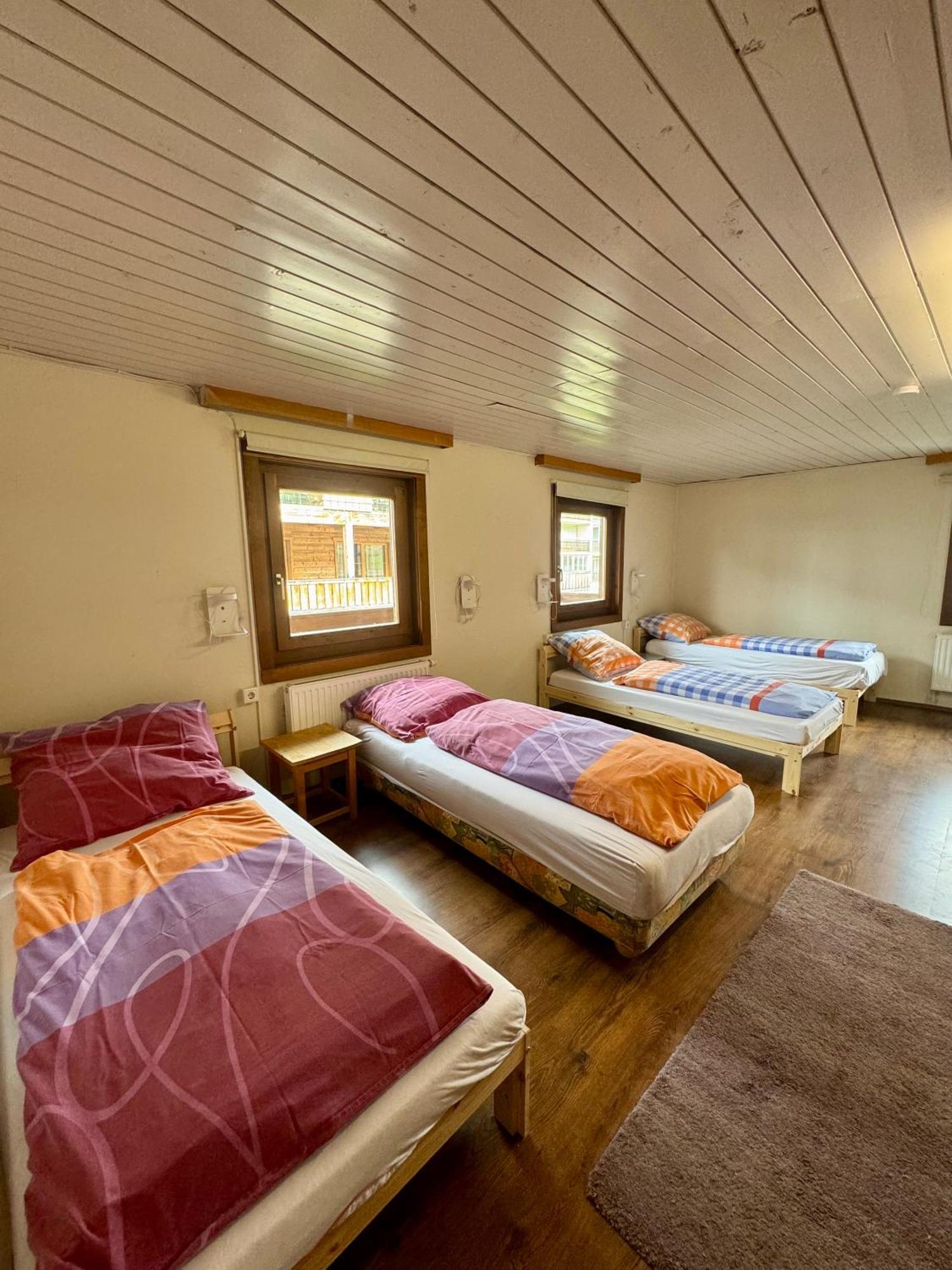 Skill Mountain Lodge - Ski Und Bike Hostel Im Sommer Mit Joker Card 萨尔巴赫 客房 照片